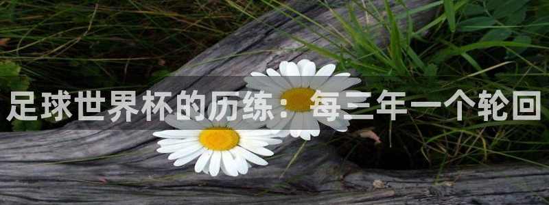 2026世界杯欧洲预选赛赛程表：足球世界杯的历练：每三年一个轮回