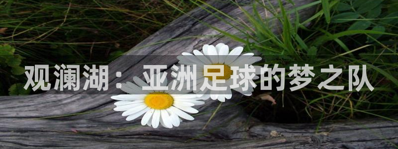 女足世界杯直播：观澜湖：亚洲足球的梦之队