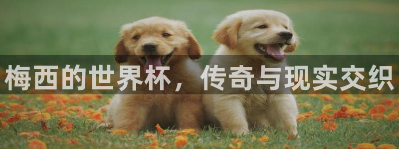 2026世界杯南美区积分榜：梅西的世界杯，传奇与现实交织
