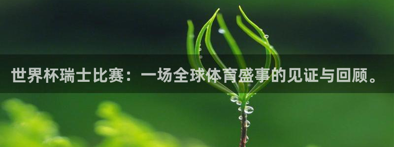 世界杯今年：世界杯瑞士比赛：一场全球体育盛事的见证与回顾。