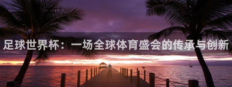 女足世界杯直播：足球世界杯：一场全球体育盛会的传承与创新