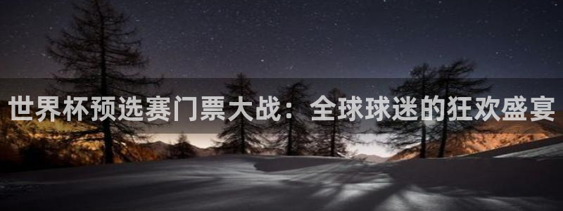 世界杯预选赛排名：世界杯预选赛门票大战：全球球迷的狂欢盛宴