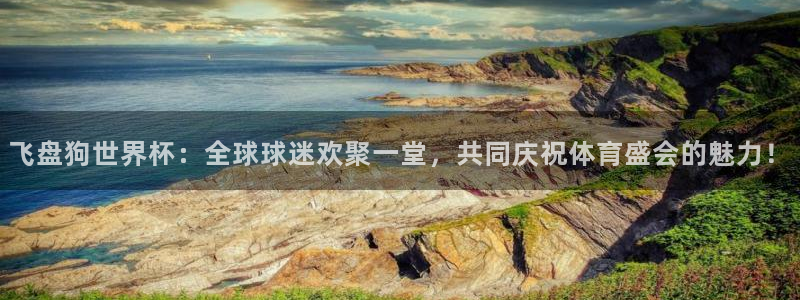 2026年世界杯对阵图：飞盘狗世界杯：全球球迷欢聚一堂，共同庆祝体育盛会的魅力！