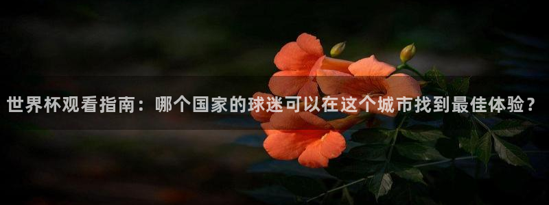 世界杯预选赛赛程表：世界杯观看指南：哪个国家的球迷可以在这个城市找到最佳体验？