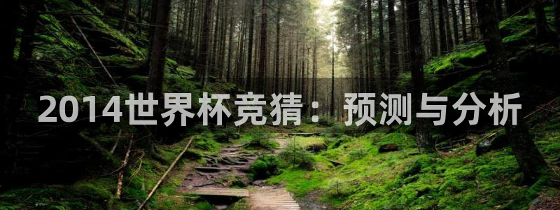 世界杯欧洲区预选赛赛程：2014世界杯竞猜：预测与分析