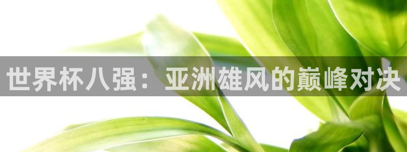 世界杯：世界杯八强：亚洲雄风的巅峰对决