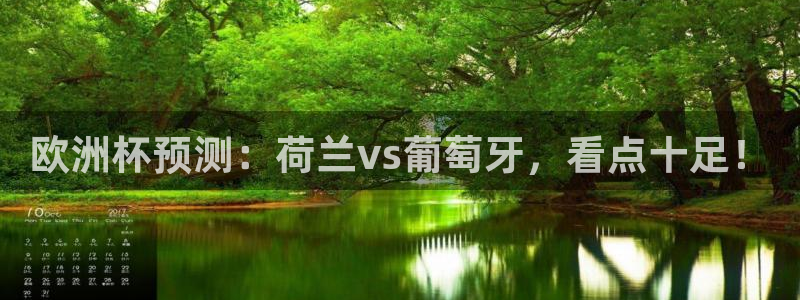 世界杯官网：欧洲杯预测：荷兰vs葡萄牙，看点十足！