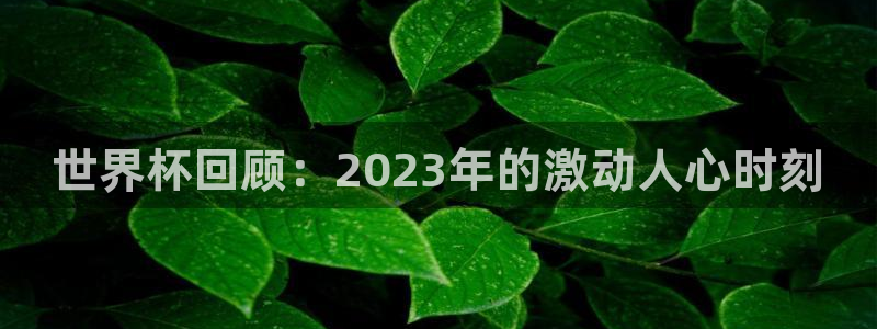 世界杯官网入口：世界杯回顾：2023年的激动人心时刻