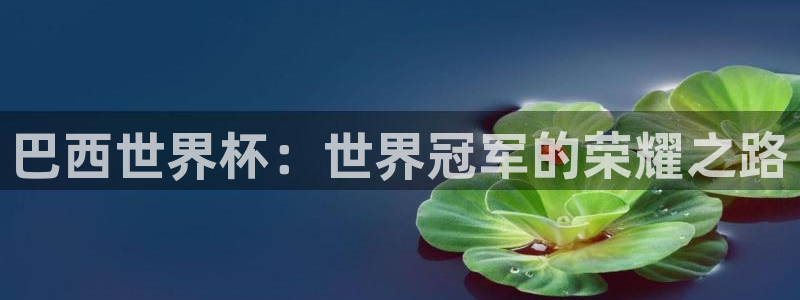 2026世界杯直播：巴西世界杯：世界冠军的荣耀之路