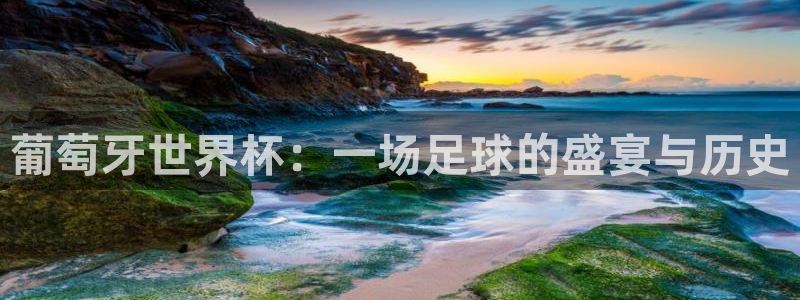 联赛杯直播：葡萄牙世界杯：一场足球的盛宴与历史